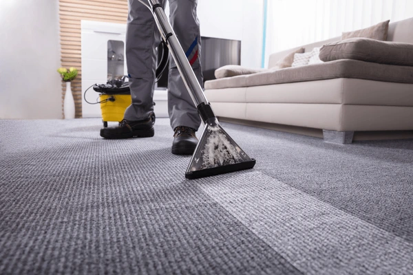 Expert Carpet Cleaning